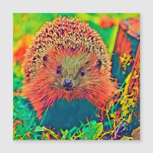 AnimalColor_Hedgehog_002 Magnetkarte