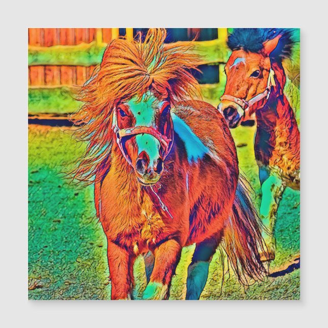 AnimalColor_Horse_001 Magnetkarte (Vorderseite)