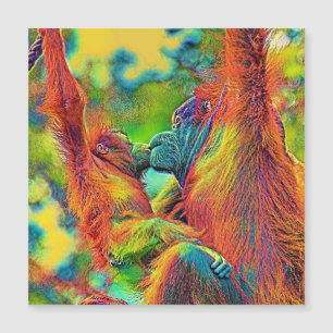 AnimalColor_OrangUtan_013 Magnetkarte