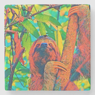 AnimalColor_Sloth_003 Steinuntersetzer