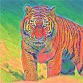 AnimalColor_Tiger_005 Aufkleber (Vorderseite)