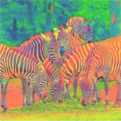 AnimalColor_Zebra_002 Aufkleber (Vorderseite)