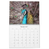 Animalia 2015 kalender (Jan 2027)