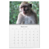 Animalia 2025 kalender (Mär 2027)