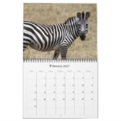 Animalia 2025 kalender (Feb 2027)
