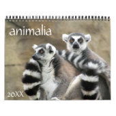 Animalia 2025 kalender (Titelbild)