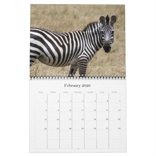 Animalia 2025 kalender (Feb 2026)