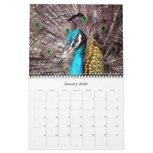 Animalia 2025 kalender (Jan 2026)