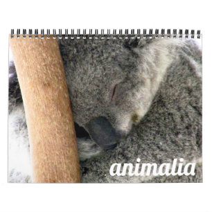 Animalia 2026 kalender