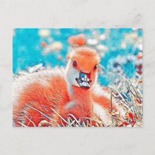 AnimalMix_Bird_019 Postkarte