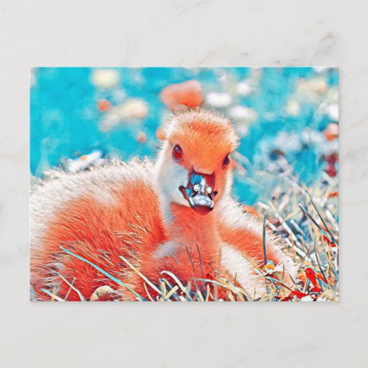 AnimalMix_Bird_019 Postkarte (Vorderseite)