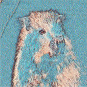 AnimalMix_Capybara_001 Aufkleber (Vorderseite)