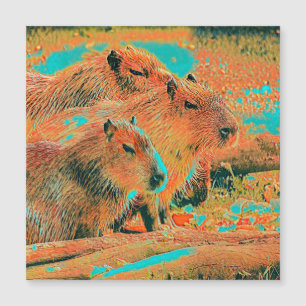 AnimalMix_Capybara_006 Magnetkarte