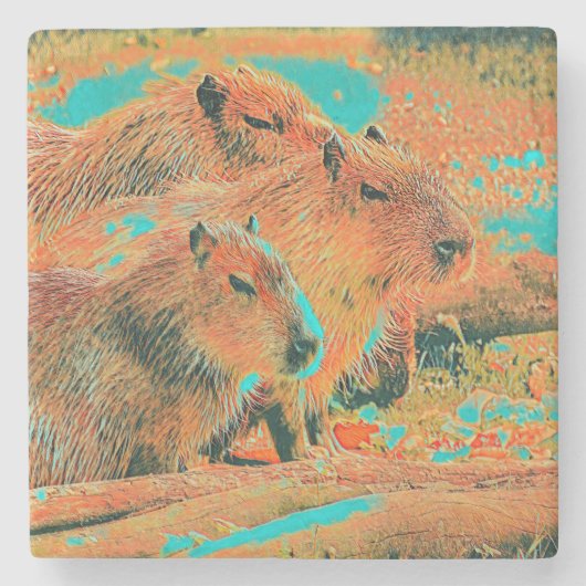 AnimalMix_Capybara_006 Steinuntersetzer (Vorderseite)