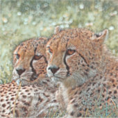 AnimalMix_Cheetah_031 Aufkleber (Vorderseite)