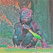 AnimalMix_Gorilla_004 Aufkleber (Vorderseite)