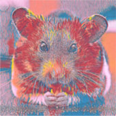 AnimalMix_Hamster_002 Aufkleber (Vorderseite)