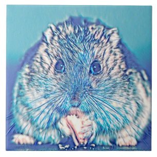 AnimalMix_Hamster_003 Fliese