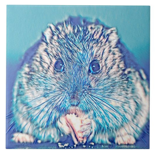 AnimalMix_Hamster_003 Fliese (Vorderseite)