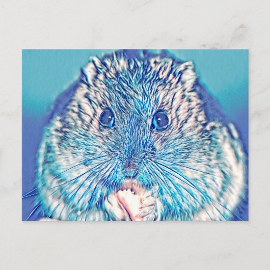 AnimalMix_Hamster_003 Postkarte (Vorderseite)