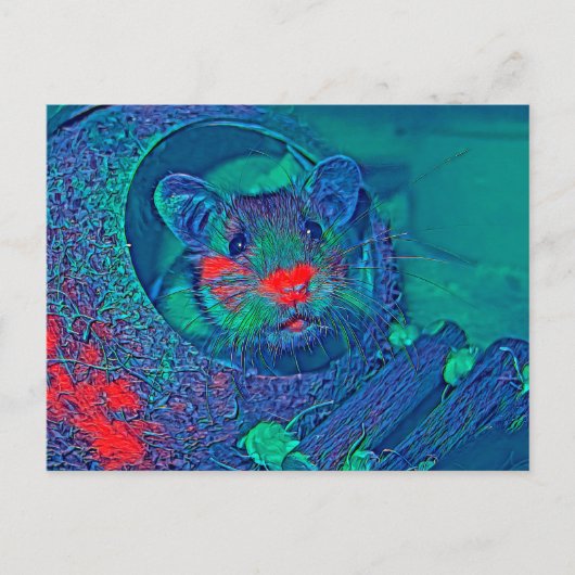 AnimalMix_Hamster_005 Postkarte (Vorderseite)