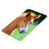 AnimalMix_Horse_013 Magnet (Linke Seite)