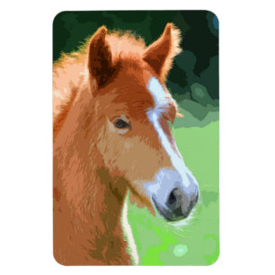 AnimalMix_Horse_013 Magnet