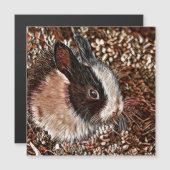 AnimalMix_Rabbit_005 Magnetkarte (Vorne/Hinten)