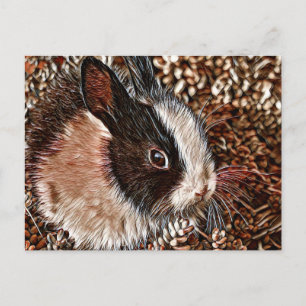 AnimalMix_Rabbit_005 Postkarte