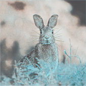 AnimalMix_Rabbit_024 Aufkleber (Vorderseite)