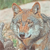 AnimalMix_Wolf_003 Aufkleber (Vorderseite)