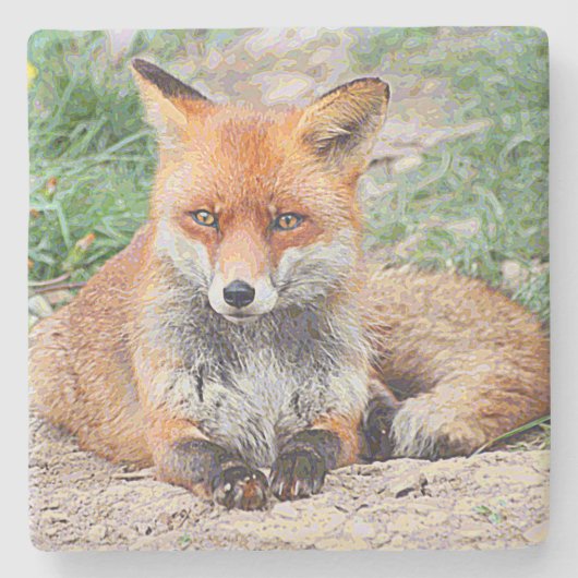 AnimalPaint_Fox_20171201_by_JAMColors Steinuntersetzer (Vorderseite)