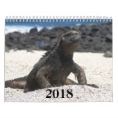 animals and birds of Galapagos Kalender (Titelbild)