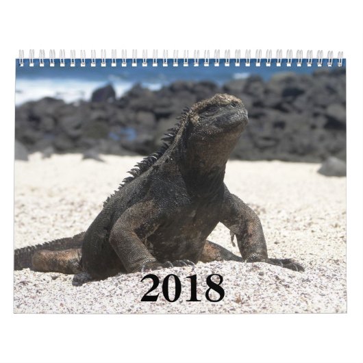 animals and birds of Galapagos Kalender (Titelbild)