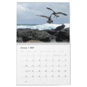 animals and birds of Galapagos Kalender (Jan 2027)