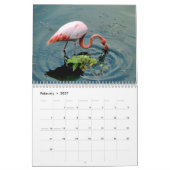 animals and birds of Galapagos Kalender (Feb 2027)