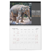 Animals Art Calendar (Type-B) Kalender (Feb 2026)