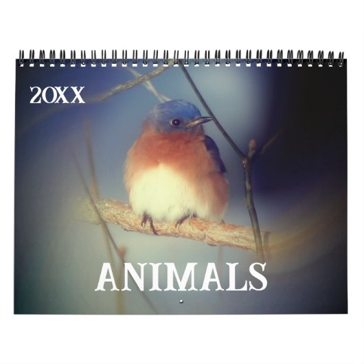 Animals Kalender (Titelbild)