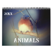 Animals Kalender (Titelbild)