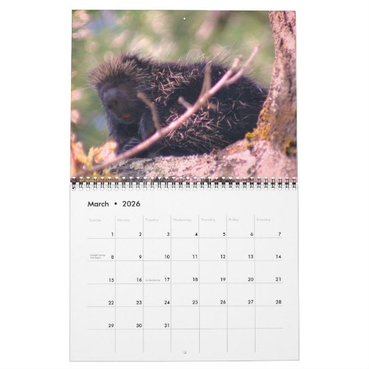 Animals Kalender (Mär 2026)
