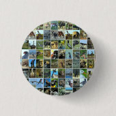 Animals of the world button (Vorderseite)