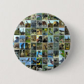 Animals of the world button (Vorderseite)