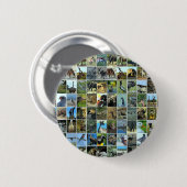 Animals of the world button (Vorne & Hinten)