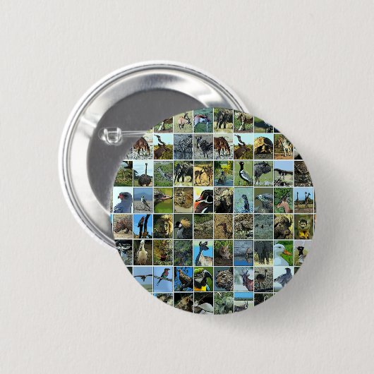 Animals of the world button (Vorne & Hinten)