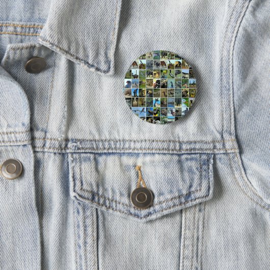 Animals of the world button (Beispiel)
