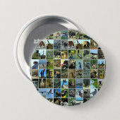 Animals of the world button (Vorne & Hinten)