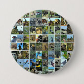 Animals of the world button (Vorderseite)