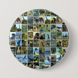 Animals of the world button