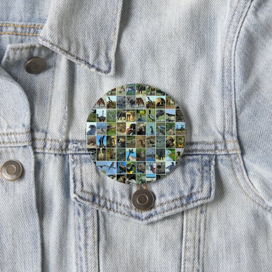Animals of the world button (Beispiel)