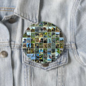 Animals of the world button (Beispiel)